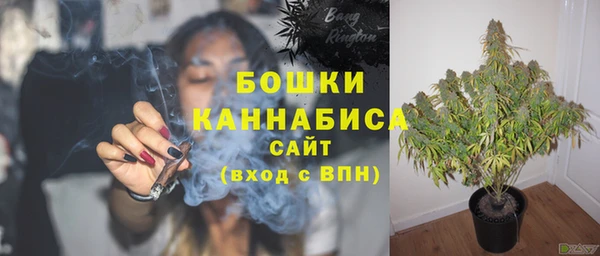 винт Новозыбков