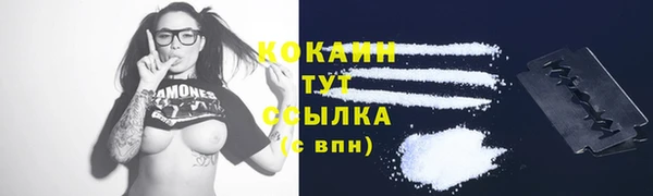 винт Новозыбков