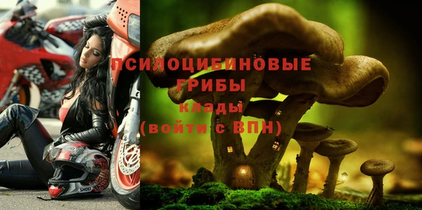 apvp Новокубанск