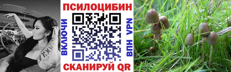 дарк нет формула  где можно купить наркотик  Торжок  Галлюциногенные грибы MAGIC MUSHROOMS 