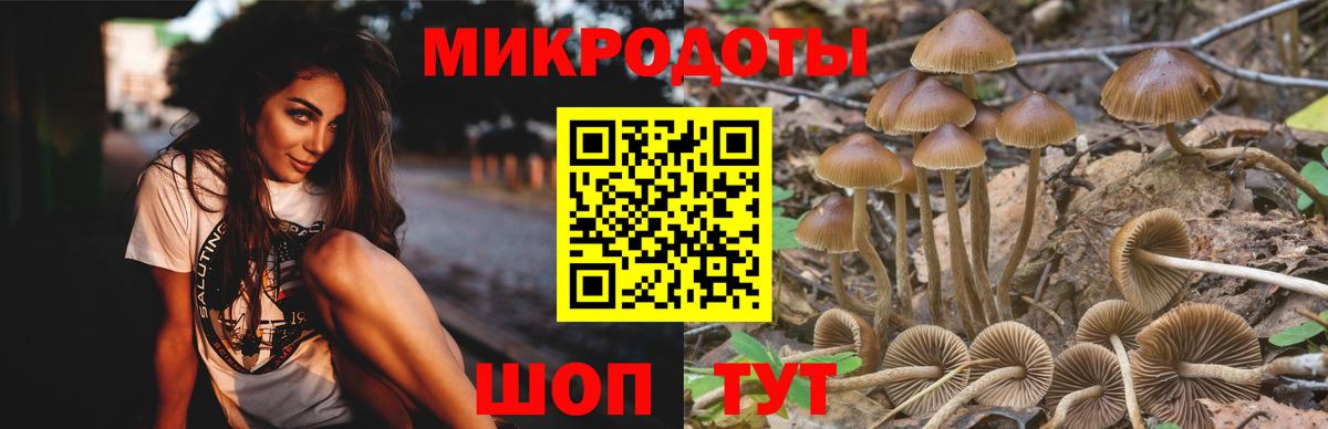 Псилоцибиновые грибы мицелий  Вход с VPN  Торжок  Галлюциногенные грибы Psilocybine cubensis 