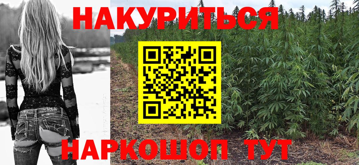Бошки Шишки марихуана Торжок